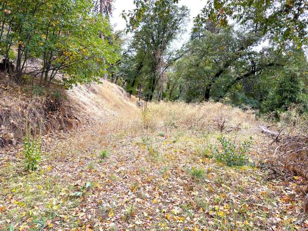 Lot 1 Manter Meadow Drive, California Hot Springs, CA 93207