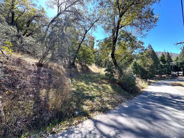 Lot 1 Manter Meadow Drive, California Hot Springs, CA 93207
