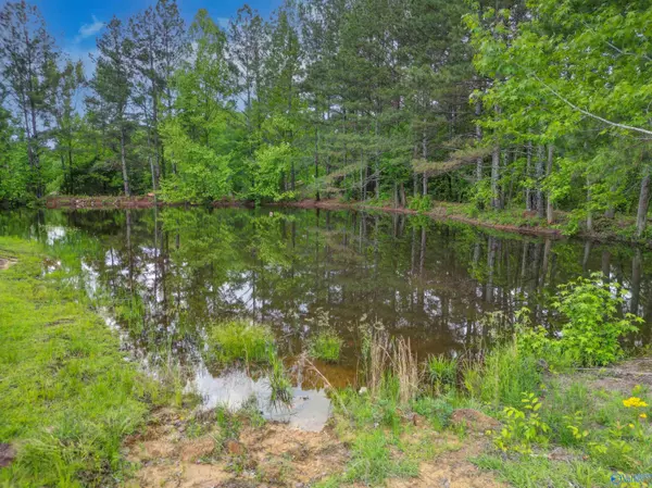 60 Joe Lemmond Road, Somerville, AL 35670