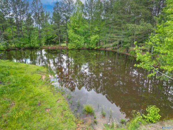 60 Joe Lemmond Road, Somerville, AL 35670