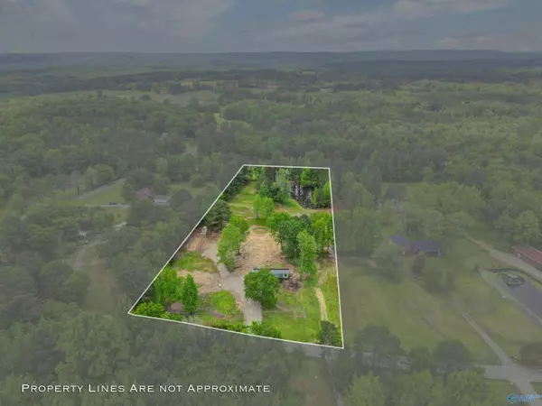 60 Joe Lemmond Road, Somerville, AL 35670