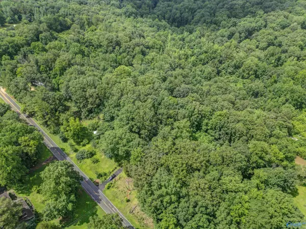 982 Berry Road, Somerville, AL 35670