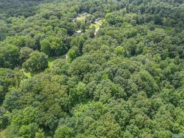 982 Berry Road, Somerville, AL 35670