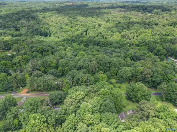 982 Berry Road, Somerville, AL 35670