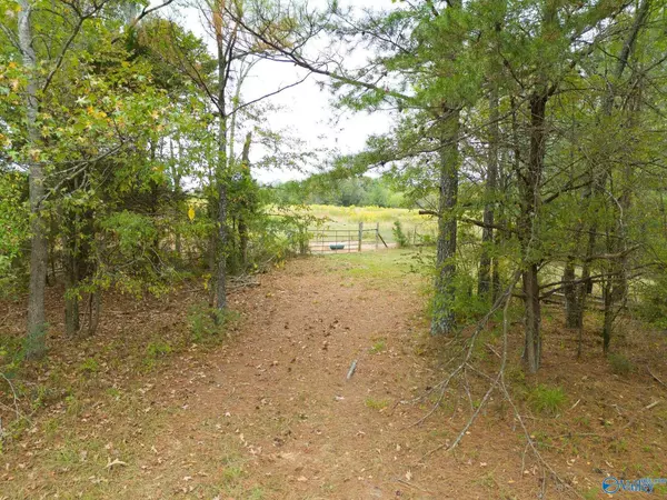 232 Kenny Clay Road, Somerville, AL 35670