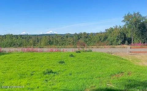 17562 W Bluebill AVE, Wasilla, AK 99623