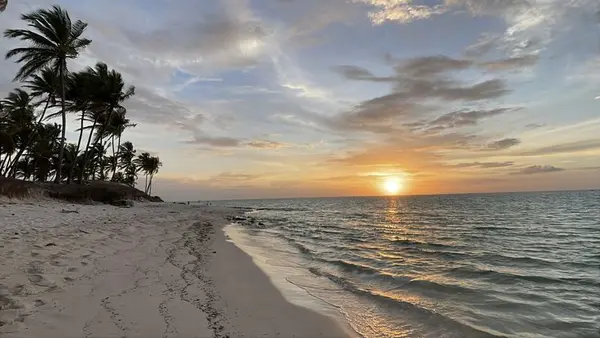 Escaping the NYC Hustle: How Long Island Helps You Reconnect with Yourself