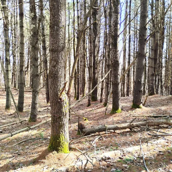 Lot 2 Father Rasle RD, Norridgewock, ME 04957