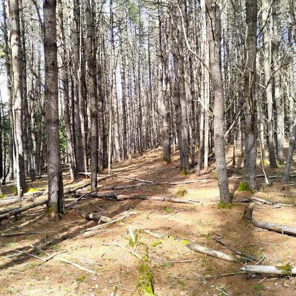 Lot 2 Father Rasle RD, Norridgewock, ME 04957