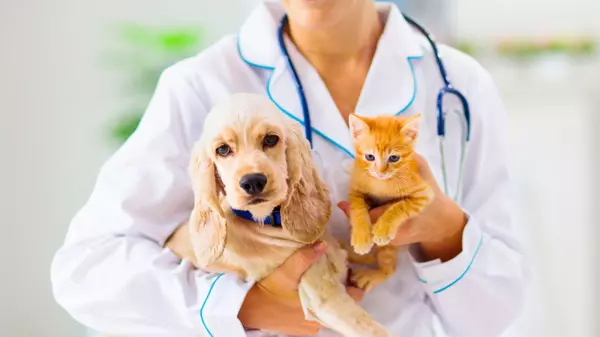  Free Spay & Neuter Clinic for Austin Pets at COTA This Week