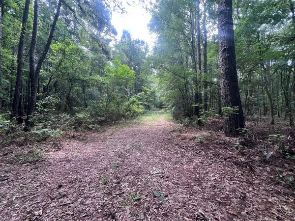 3245 Old Plain Dealing Road, Plain Dealing, LA 71064
