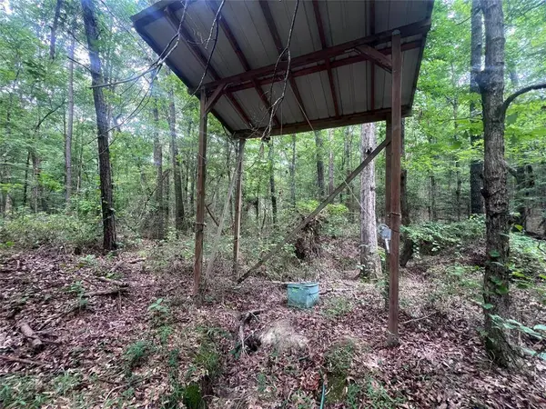 3245 Old Plain Dealing Road, Plain Dealing, LA 71064
