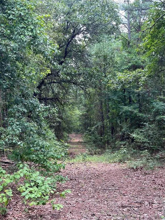 3245 Old Plain Dealing Road, Plain Dealing, LA 71064