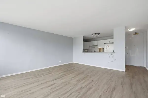 1401 E 55th ST #307N, Chicago, IL 60615