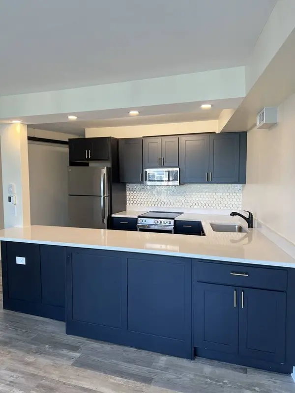 300 N State ST #5225, Chicago, IL 60654