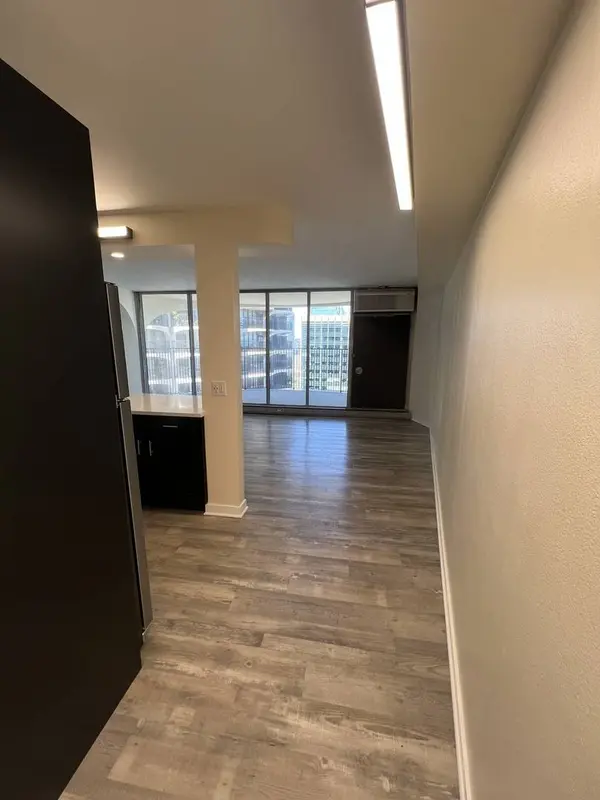 300 N State ST #5225, Chicago, IL 60654