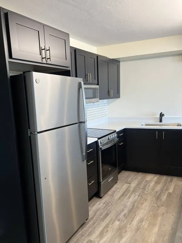 300 N State ST #5225, Chicago, IL 60654