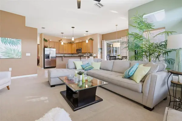 3730 GAVIOTA DR, Sun City Center, FL 33573