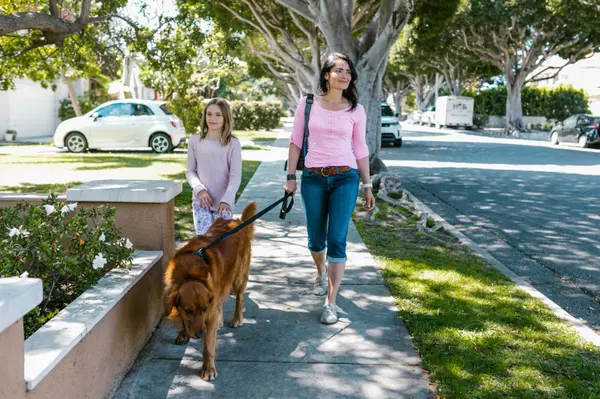 Best Dog-Friendly Neighborhoods and Parks in Albuquerque