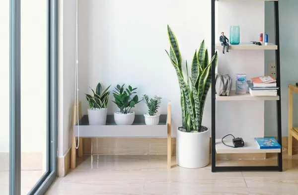 Healthy Home Habits: Small Daily Changes That Make a Big Difference,Anita Mora