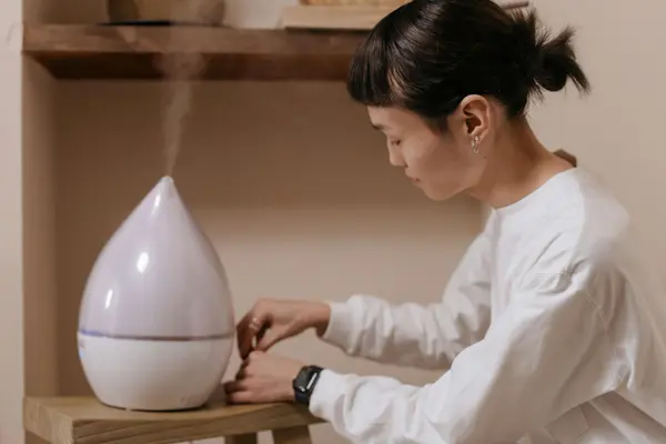 How to Keep Your Albuquerque Home Humidified Without Overdoing It,Anita Mora