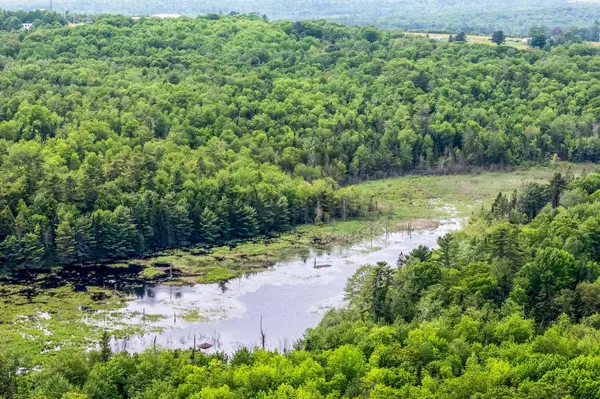 279 Back Ridge Road RD, Orland, ME 04472