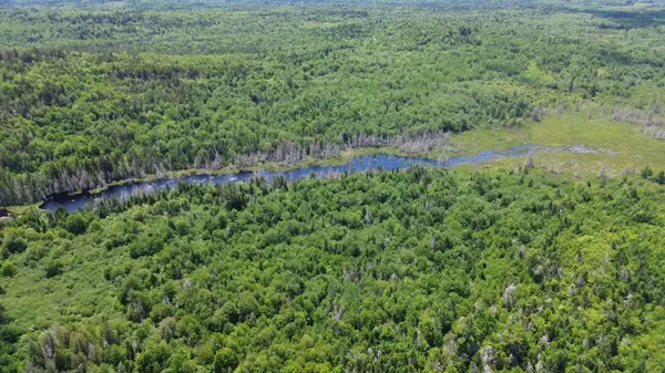 Map WA032 Plan 02 - Lot 19, Trescott Twp, ME 04652