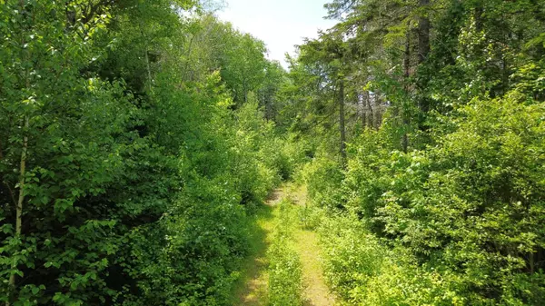 Map WA032 Plan 02 - Lot 19, Trescott Twp, ME 04652