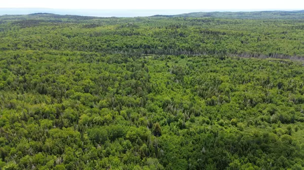 Map WA032 Plan 02 - Lot 19, Trescott Twp, ME 04652