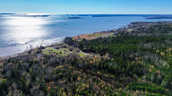 Lot 5 Holmes Bay Farm, Whiting, ME 04691