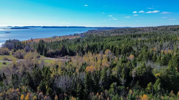 Lot 3 Holmes Bay Farm, Whiting, ME 04691
