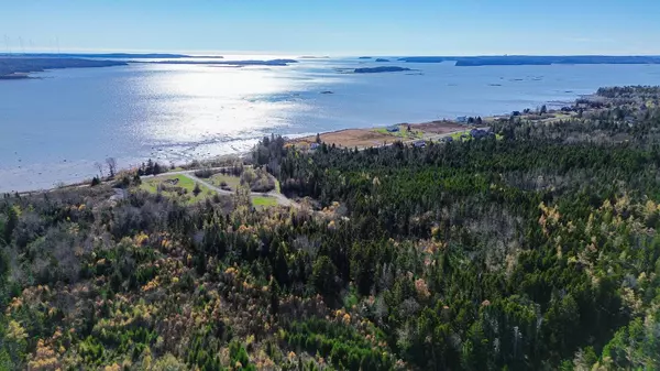 Lot 3 Holmes Bay Farm, Whiting, ME 04691