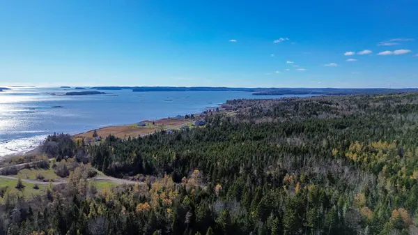 Lot 6 Holmes Bay Farm, Whiting, ME 04691