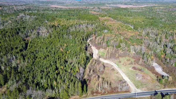 Lot 4 Holmes Bay Farm, Whiting, ME 04691