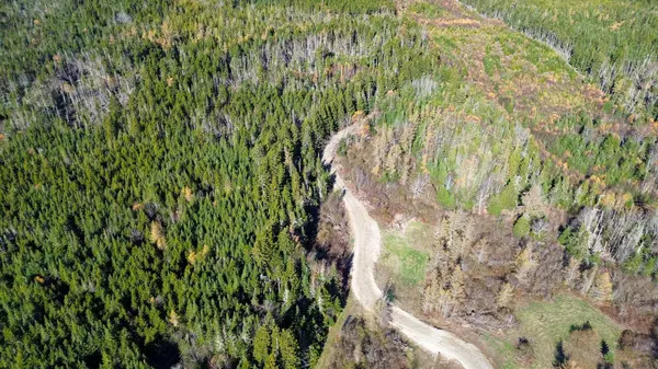 Lot 4 Holmes Bay Farm, Whiting, ME 04691