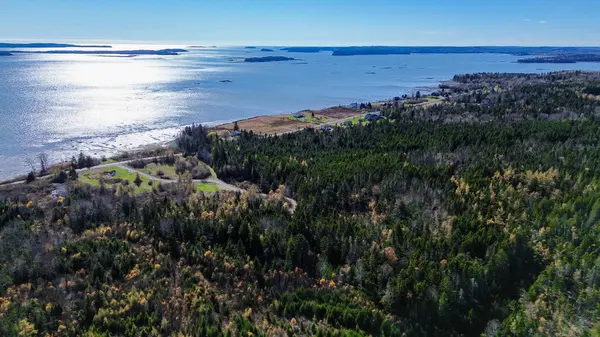 Lot 6 Holmes Bay Farm, Whiting, ME 04691