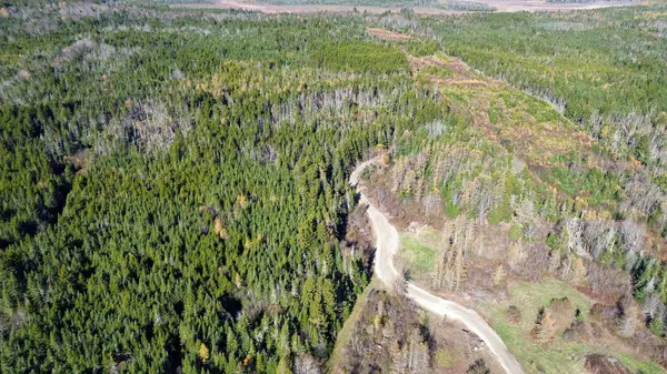 Lot 4 Holmes Bay Farm, Whiting, ME 04691