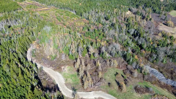 Lot 3 Holmes Bay Farm, Whiting, ME 04691