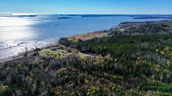 Lot 6 Holmes Bay Farm, Whiting, ME 04691