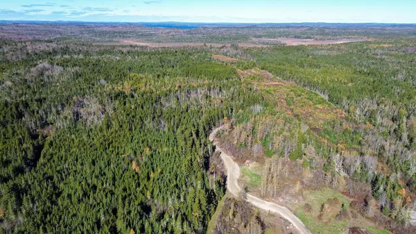 Lot 3 Holmes Bay Farm, Whiting, ME 04691