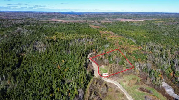 Lot 1 - 6 Holmes Bay Farm, Whiting, ME 04691