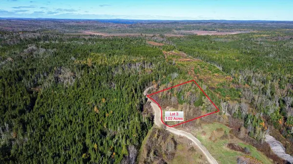 Lot 1 - 6 Holmes Bay Farm, Whiting, ME 04691