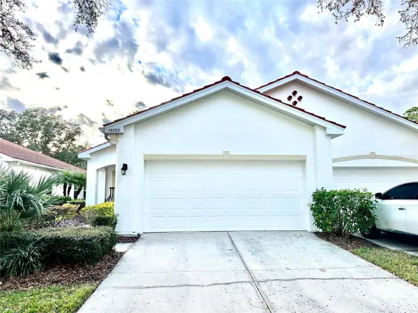 10222 DEVONSHIRE LAKE DR, Tampa, FL 33647