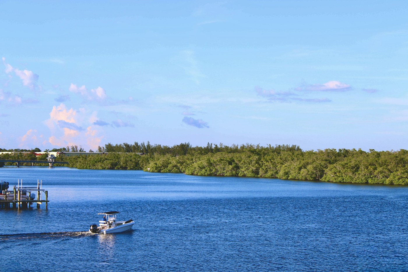 Boat travelling the calm back-bay water near the mangroves in Naples, Florida