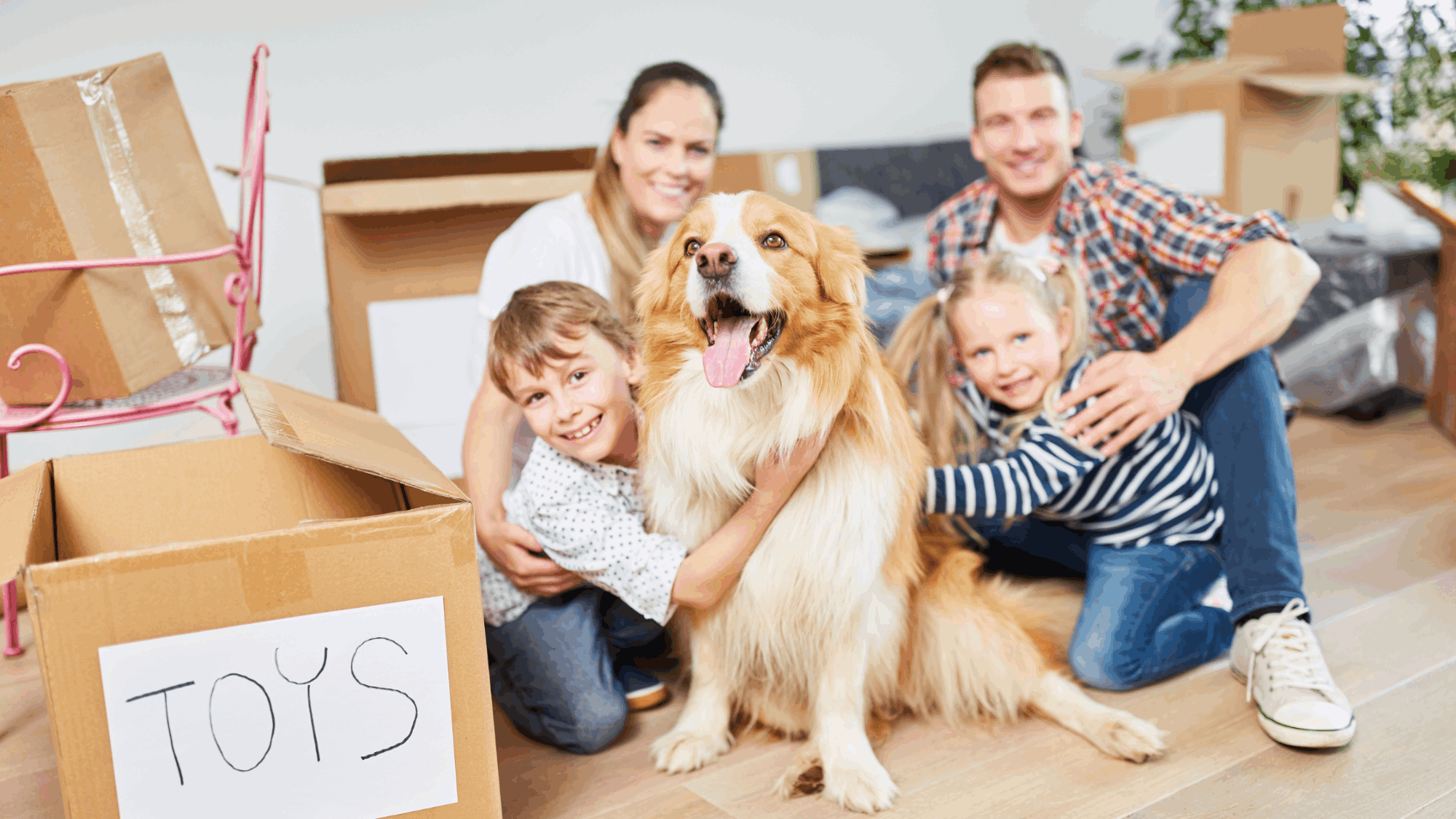 moving out of state this summer 2