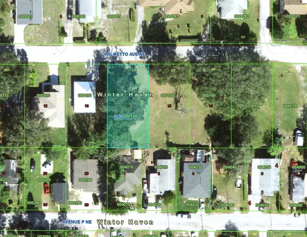 223 PALMETTO AVE NE, Winter Haven, FL 33881