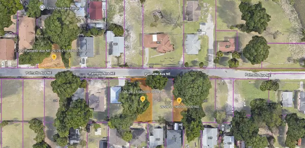 223 PALMETTO AVE NE, Winter Haven, FL 33881