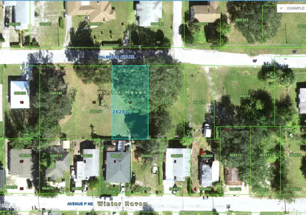 PALMETTO AVE NE, Winter Haven, FL 33881