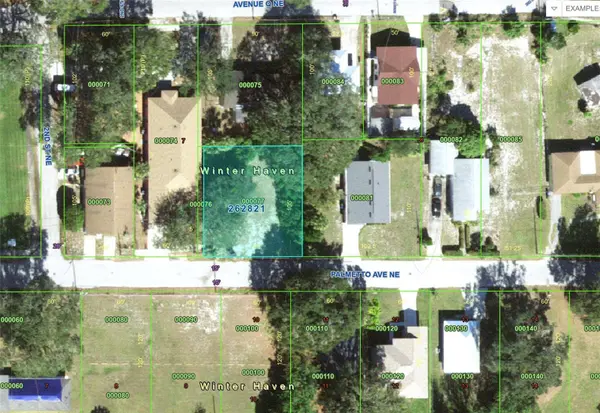 223 PALMETTO AVE NE, Winter Haven, FL 33881