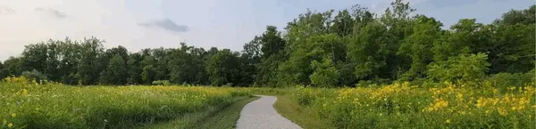 Liverpool Meadows Nature Preserve in Valley City, Ohio: Explore Nature in Medina County